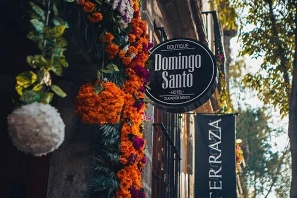 Domingo Santo Hotel Boutique (Adults Only) Мехико Экстерьер фото